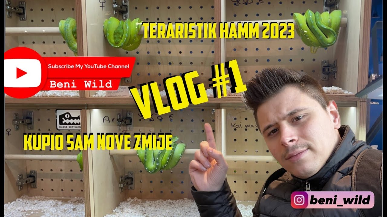 teraristik hamm VLOG #1 Beni Wild