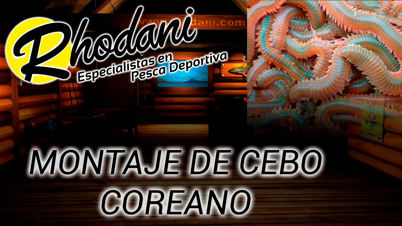 Cómo MONTAR COREANO para PESCA SURFCASTING | PASO a PASO muy SENCILLO