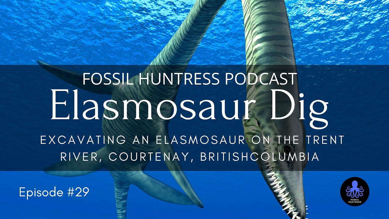 Fossil Huntress Podcast: Excavating an 85-Million Year Old Elasmosaur / Episode #29