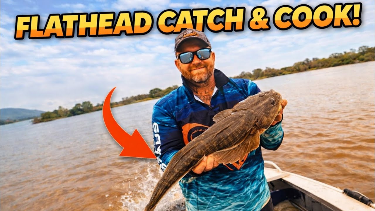 Flathead Catch & Cook!!🔥🐟