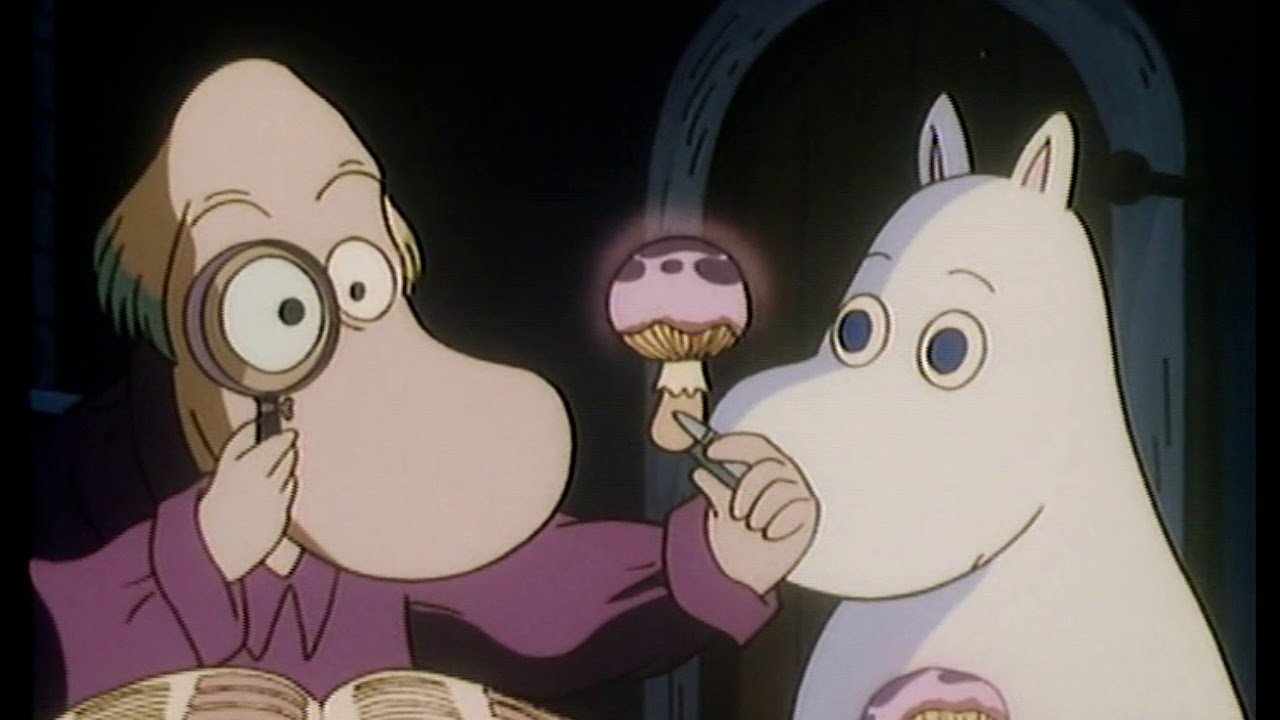 Muumit ~ Opi tuntemaan sienet