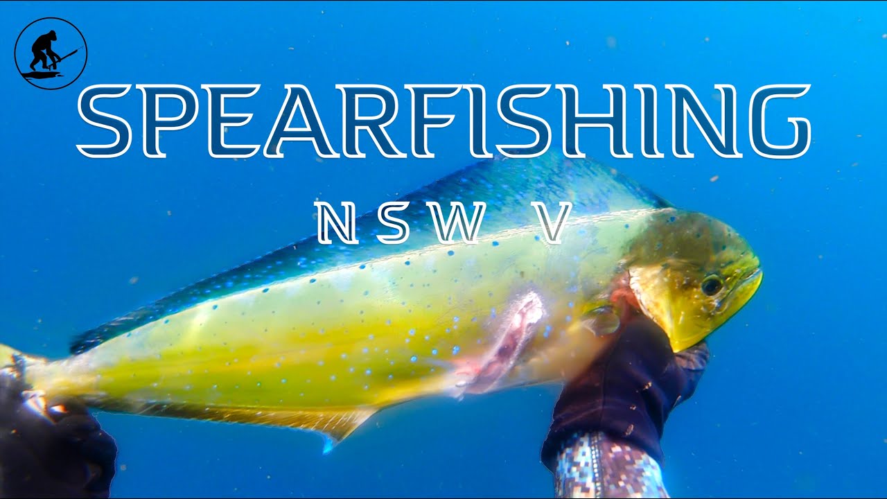 Spearfishing NSW 5 2019