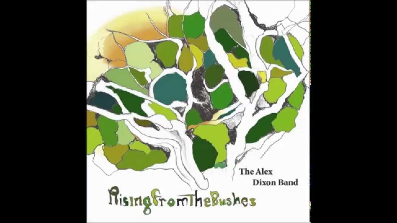The Alex Dixon Band - Down In The Bottom
