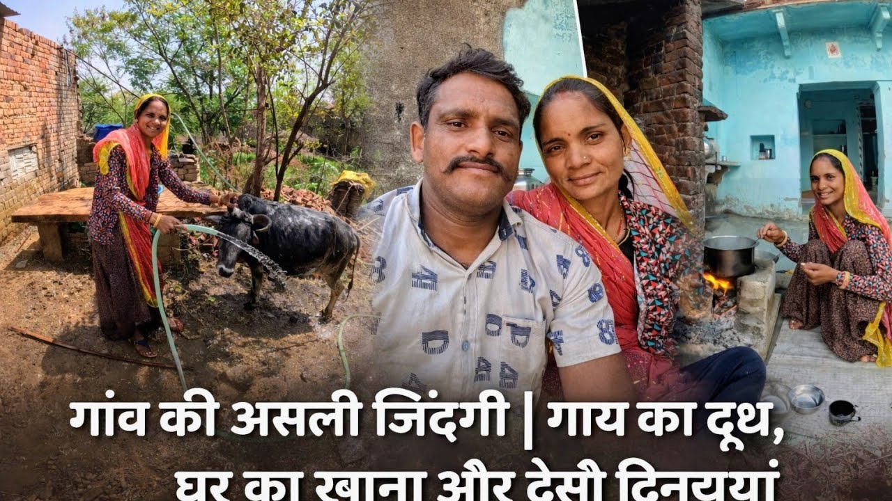 गांव की असली जिंदगी  | गाय का दूध, घर का खाना और देसी दिनचर्या | Rural Life Vlog Village Daily Vlog