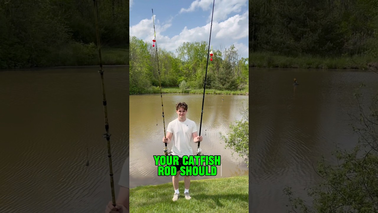 Как настроить удочку для ловли сома в 2026 году! 🎣🐟