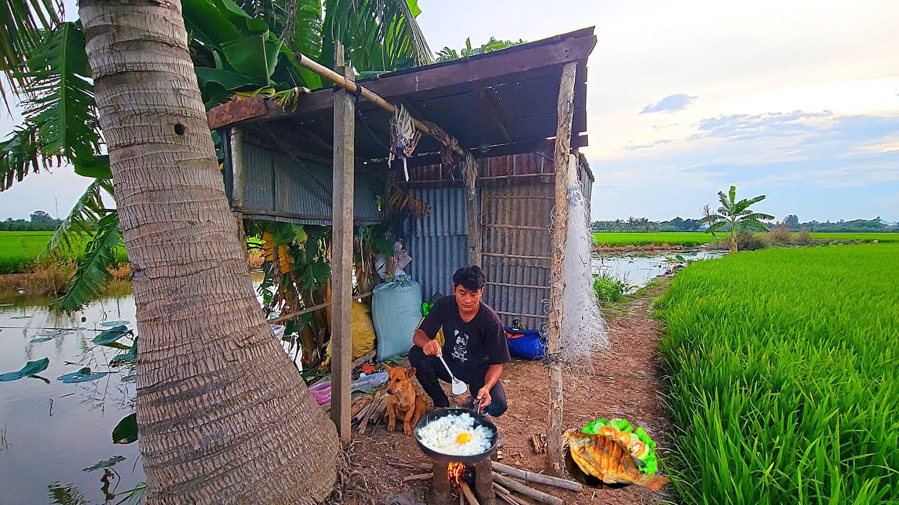 Camping in the middle of the rice fields, catching fish in the pond, cooking with the dog