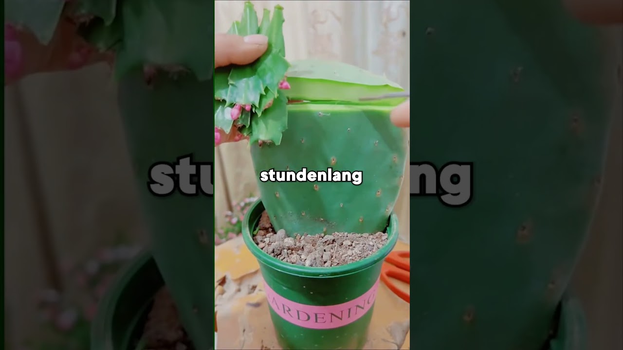 SELTEN so &uuml;berw&auml;ltigt gef&uuml;hlt!? #reddit #shorts #satisfying #redditstories