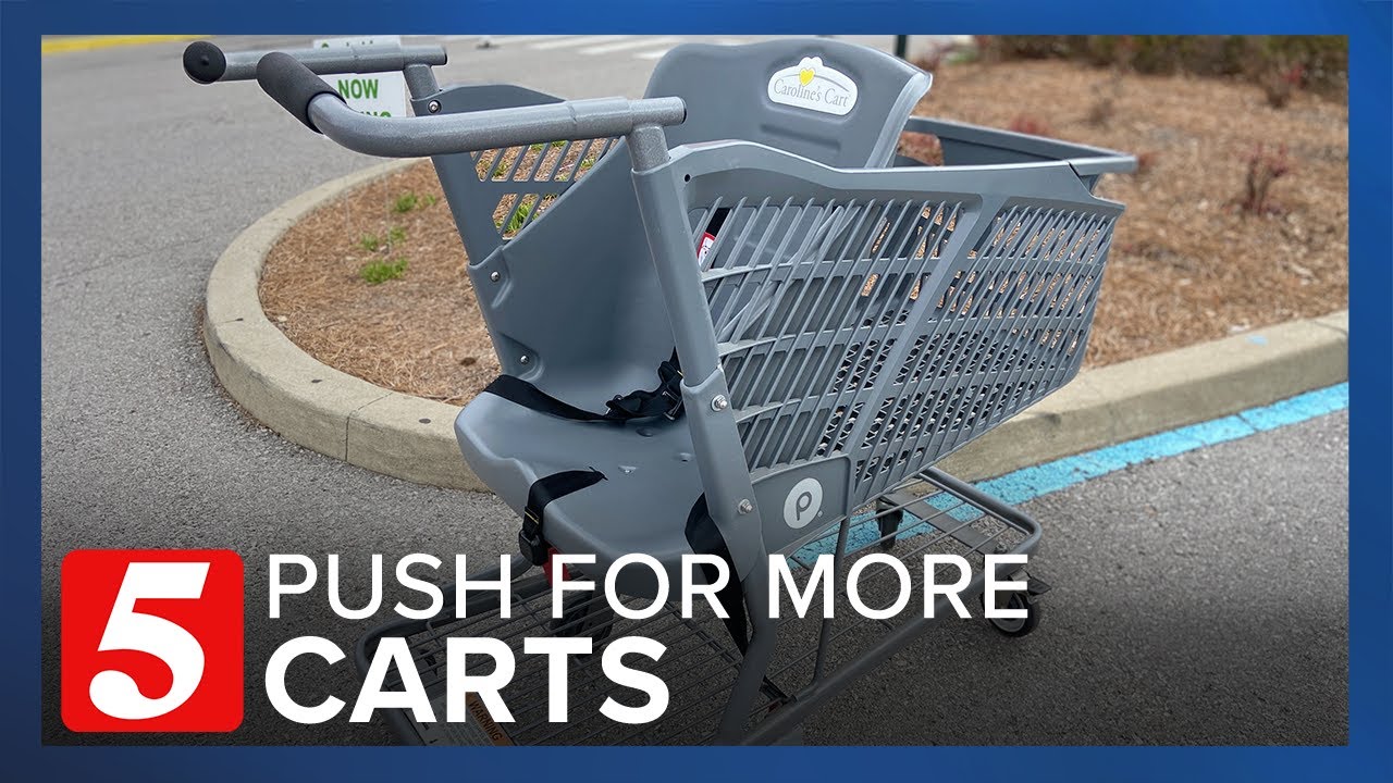 Tennessee mothers plead for Caroline's Carts in public places