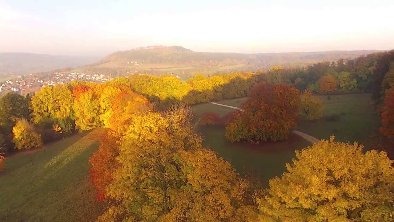 Herbstwald