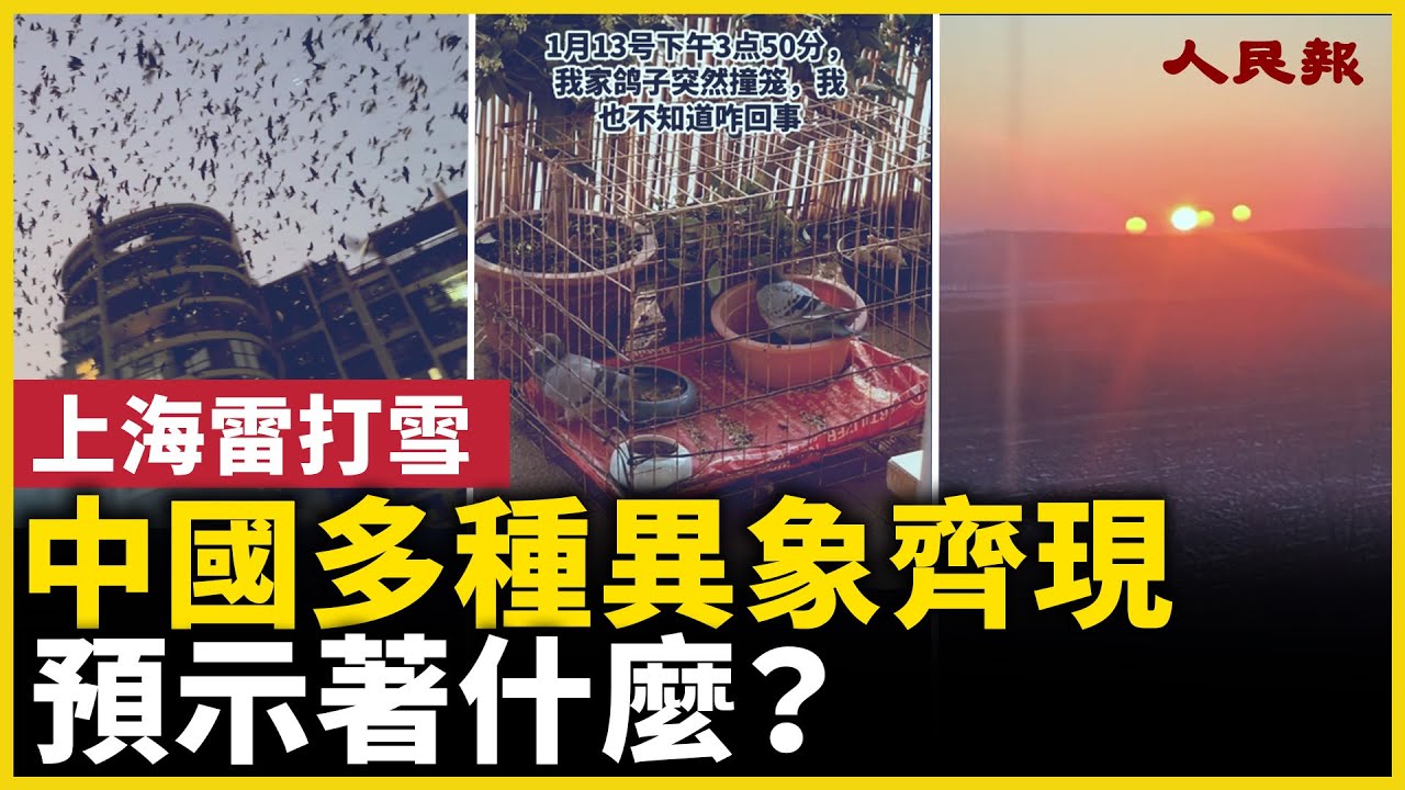 中國多種異象齊現，預示著什麼？！北方冬季桃花盛開，烏鴉滿天飛，上海雷打雪，黑龍江4個太陽 &hellip;&hellip;！｜ #人民報