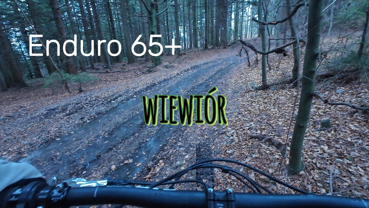 Wiewiór/Gaiki/Enduro 65+/Goust