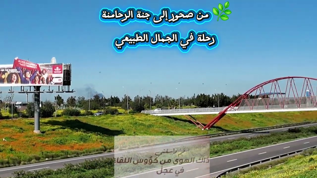 🌿 من صحور إلى جنة الرحامنة: رحلة في الجمال الطبيعي