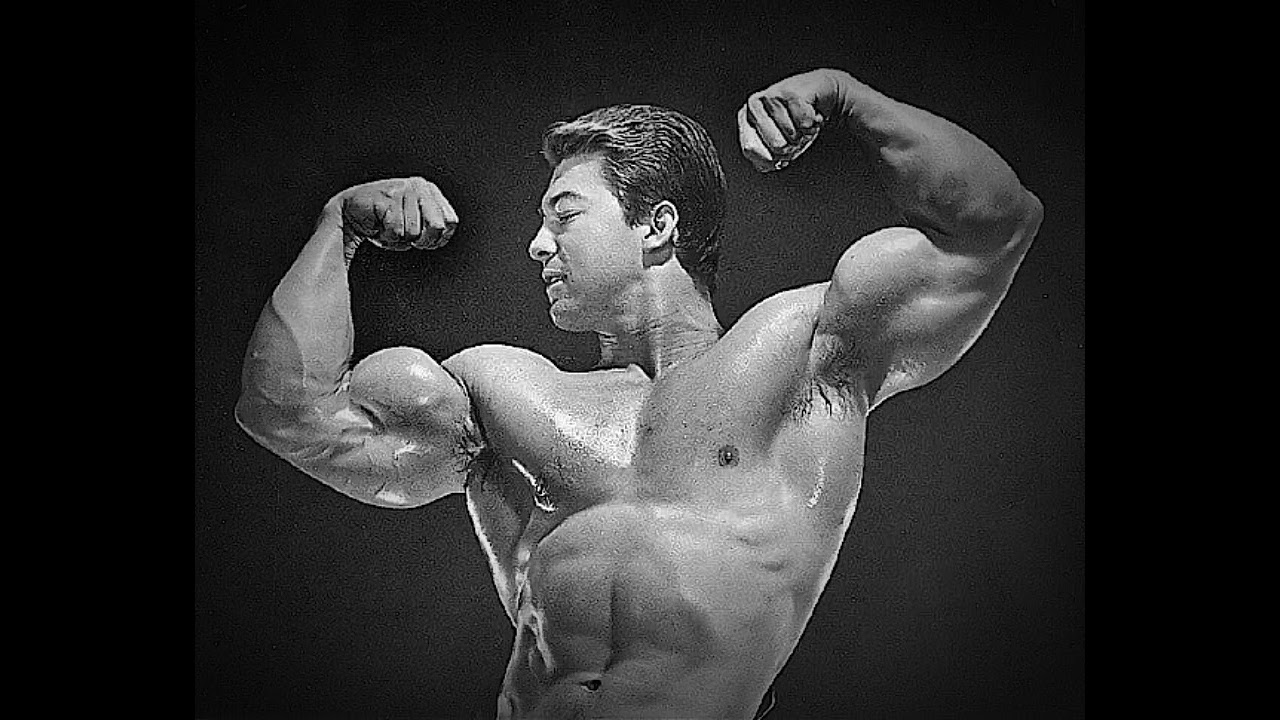 DJ ZUP RAIii - Модель (Model)  normal