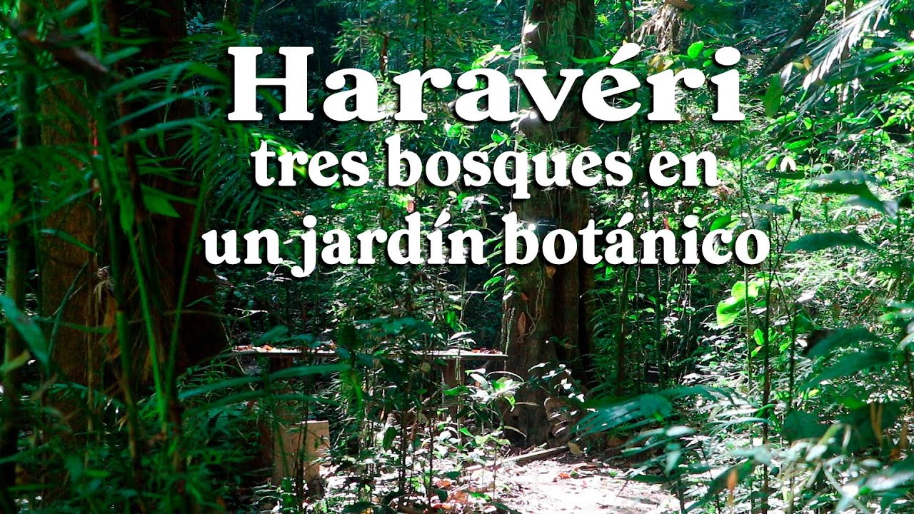 Jardín Botánico Haravéri; oasis de biodiversidad