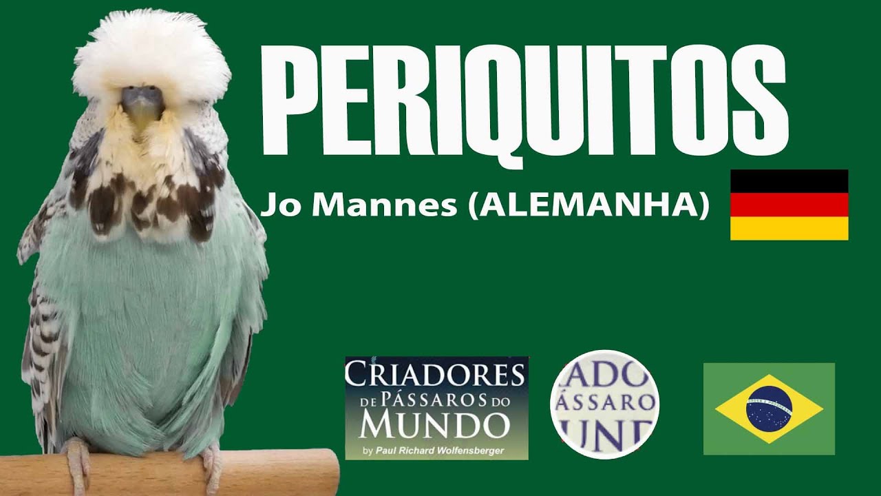 Criadouro Jo Mannes - Periquitos
