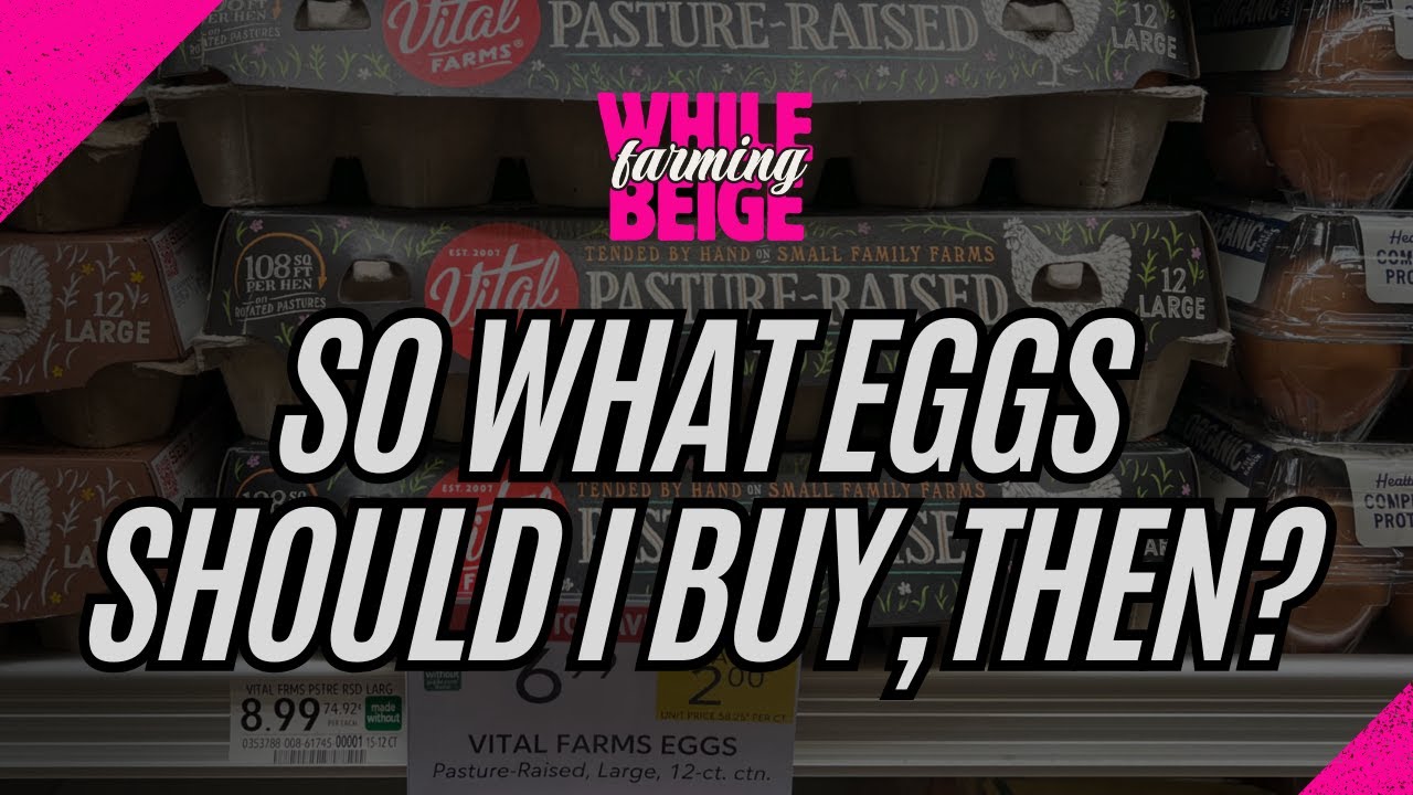 So What Eggs Should I Buy?