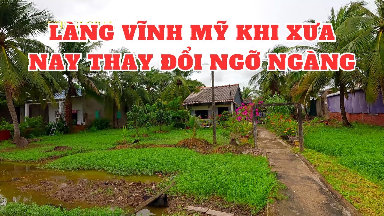 Khám phá xã Vĩnh Mỹ A Huyện Hòa Bình Bạc Liêu