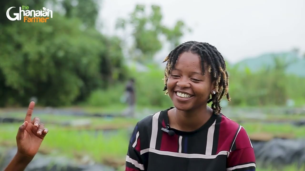 Why Two Graduates Came From Zimbabwe & Uganda To Learn More About Ghanas Fish Farming Industry