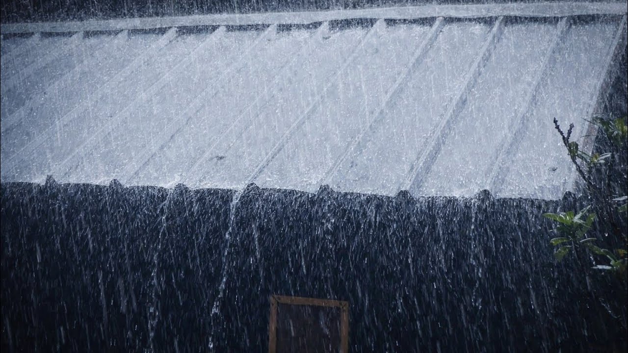 Heavy Rain on Metal Roof | Relaxing Rain Sounds for Deep Sleep, Study & Stress Relief