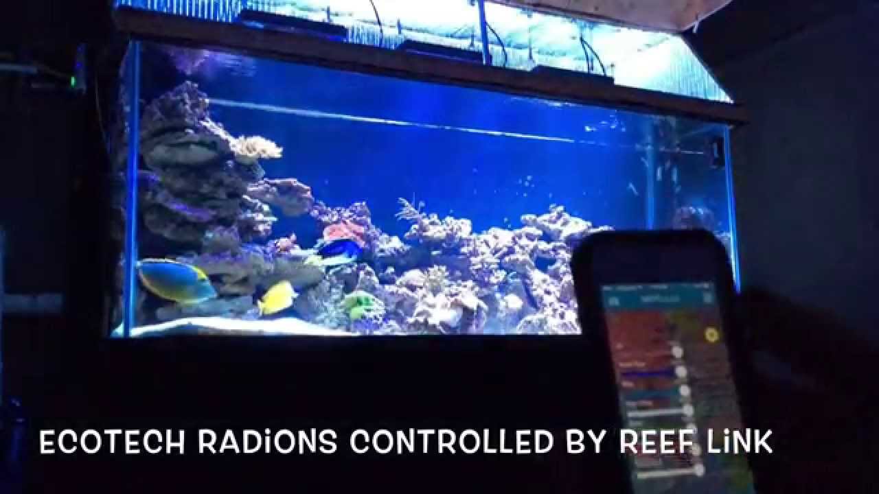 Ecotech Radions Controlled By A Wireless Reef Link