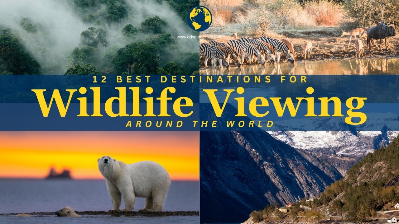 12 Best Destinations for Wildlife Viewing Around the World
