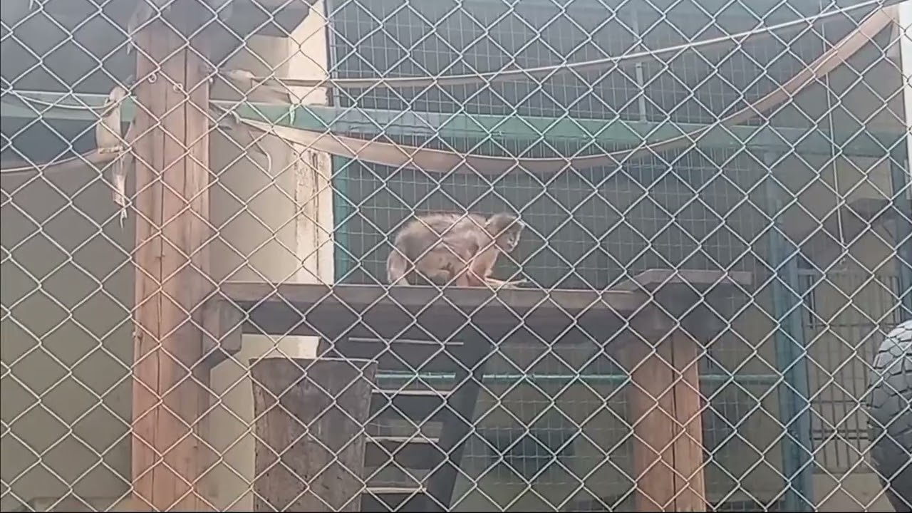 Viajamos para Goiânia