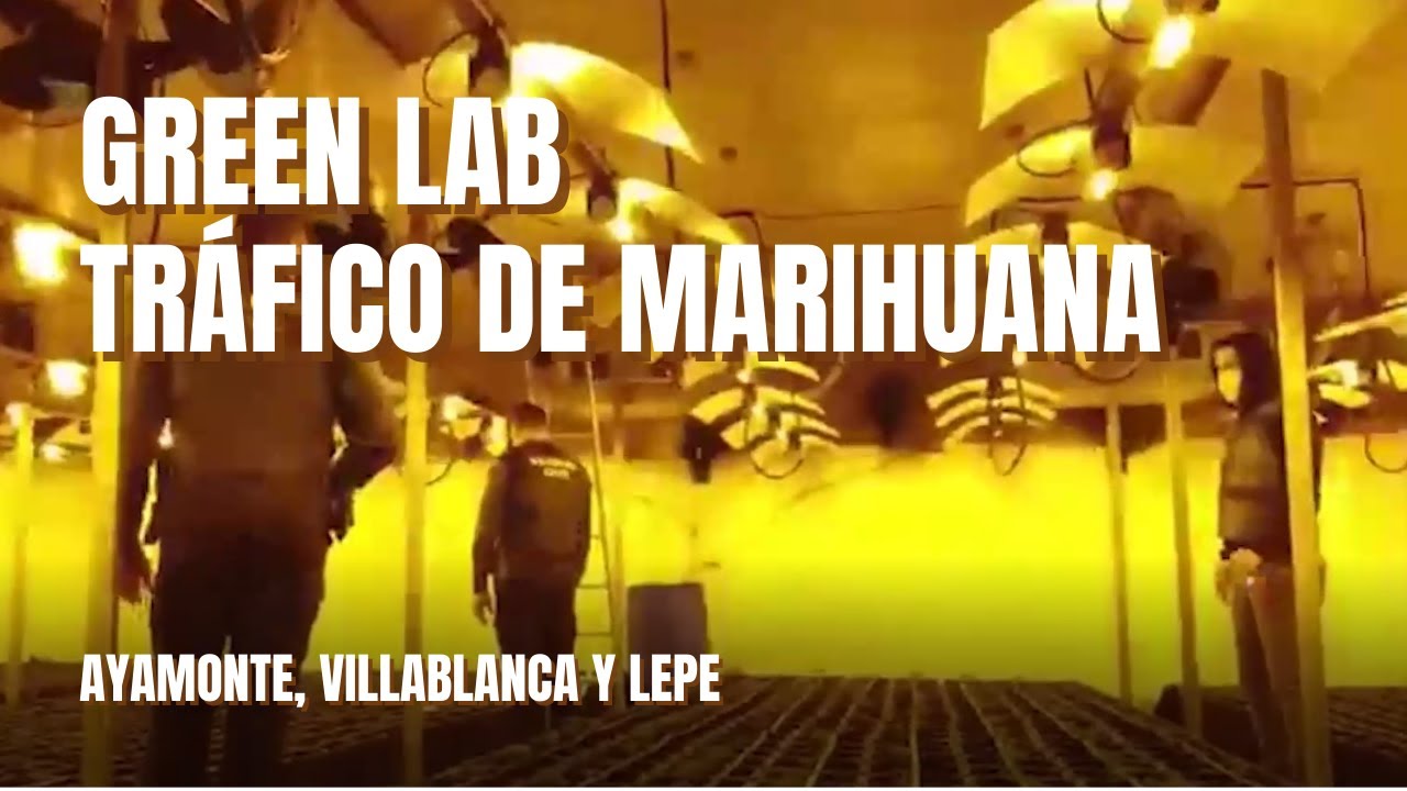 Operación Green Lab. Organización criminal de tráfico de marihuana en localidades de Huelva.