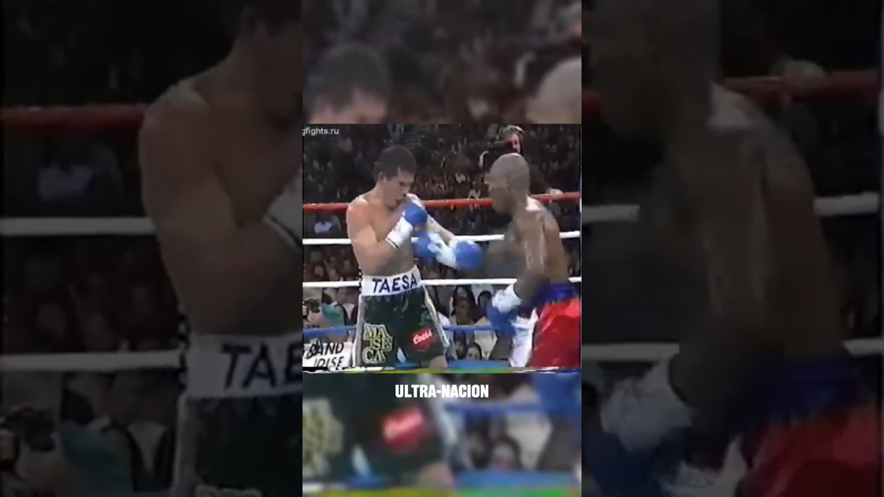 La REVANCHA | Julio C&eacute;sar Ch&aacute;vez VS Meldrick Taylor 2