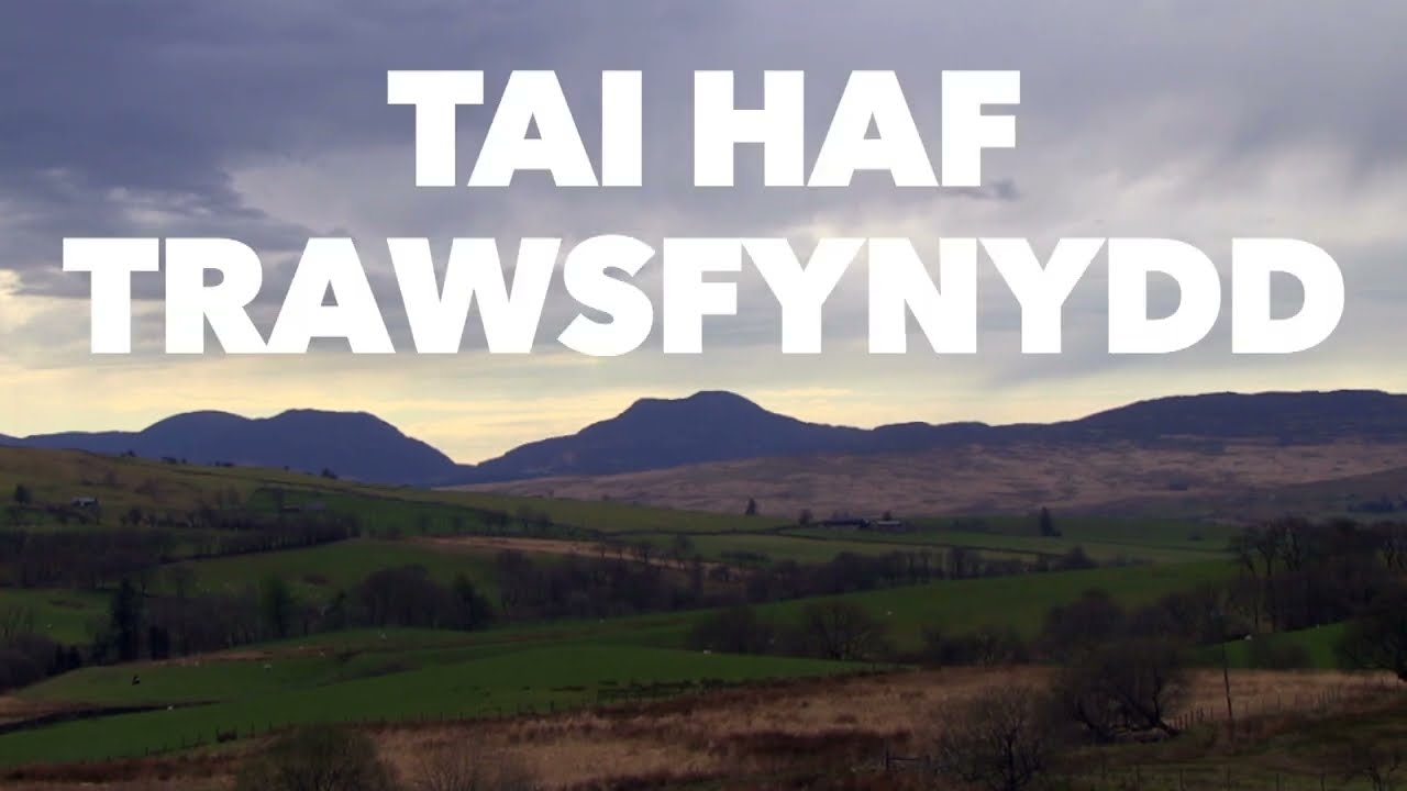 Tai Haf Trawsfynydd
