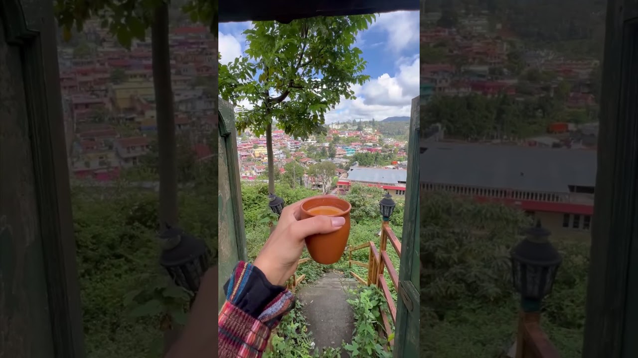 Beautiful Hostel with Artistic vibes and view of the mountains in Coonoor🏔️ #nilgiris #travel #ooty