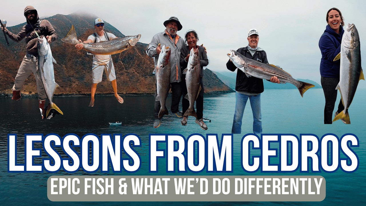 Cedros Island Fishing - Epic Catches & What We’d Do Differently