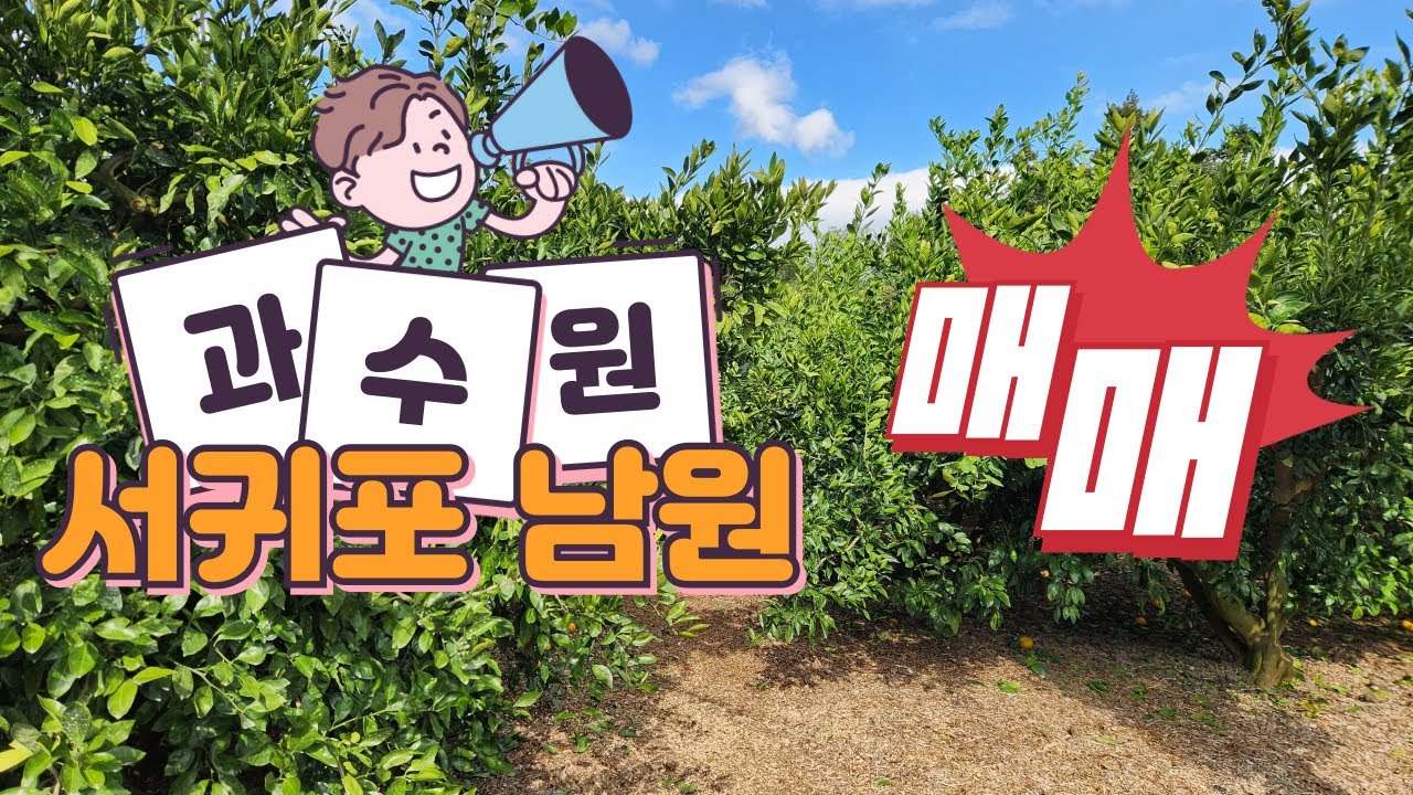 제주 서귀포시 남원읍 수망리 건축도 가능한 감귤과수원 매매