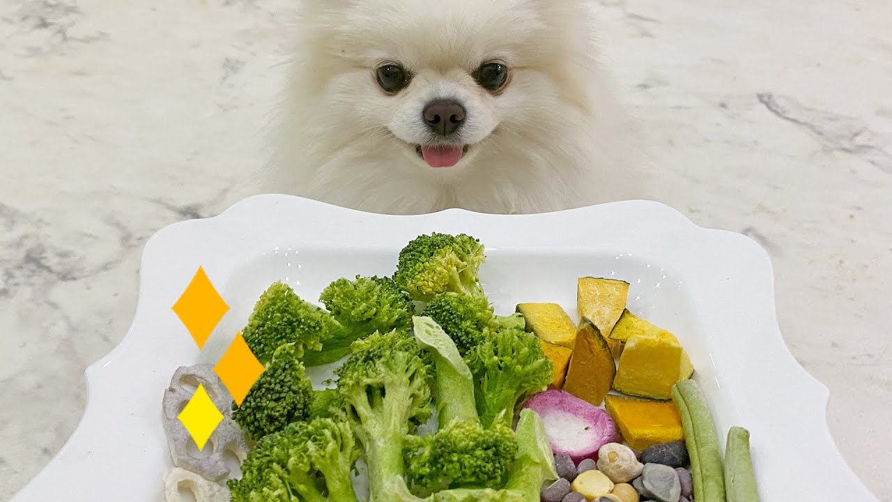 얼려 건조한 보리꼬리 ASMR ｜ Crunch! Freeze drying Vegetable ASMR