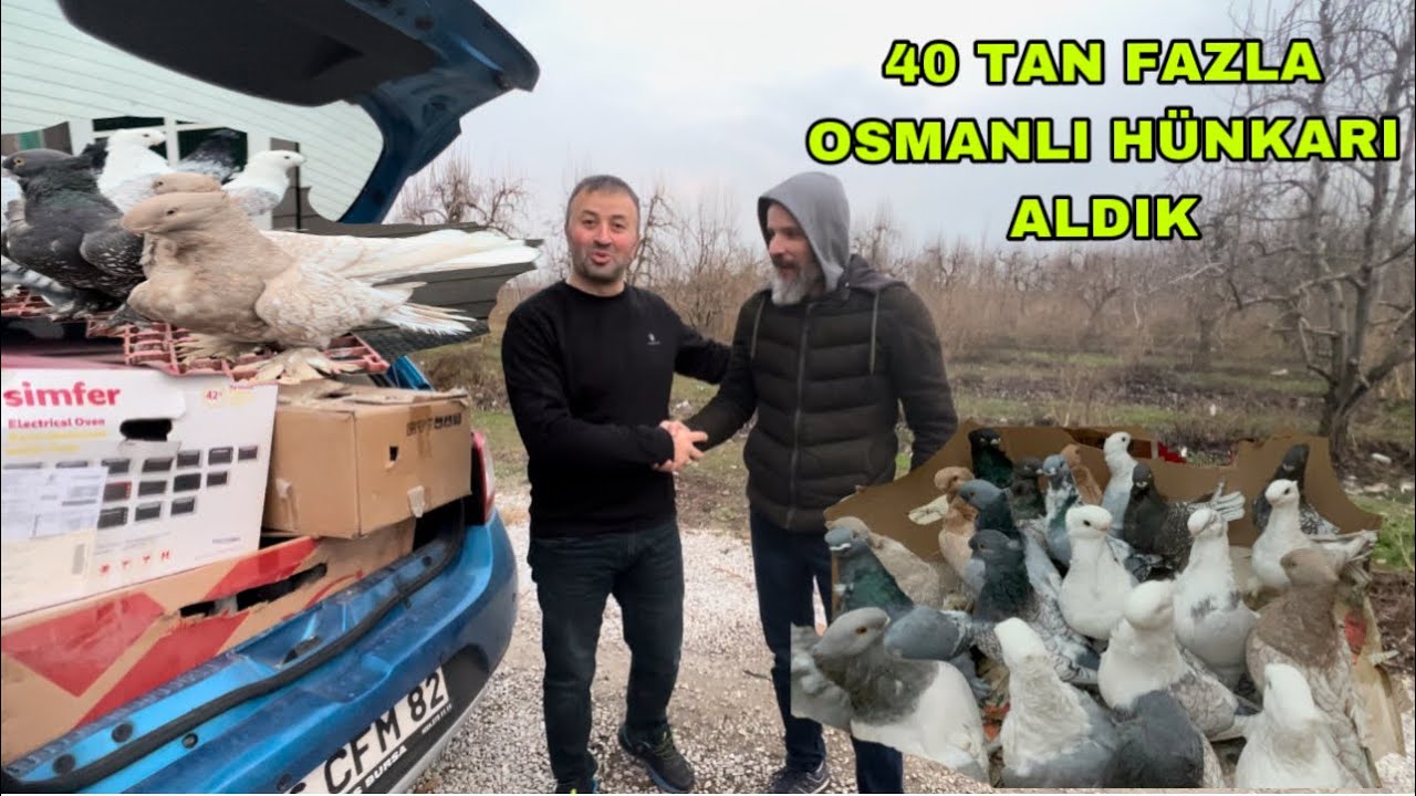 YILIN TRASFERLERİ GERÇEKLEŞTİ 40 TAN FAZLA SALTONETTE BLONDONETTE BE BOĞMA HÜNKARİ ALDIM