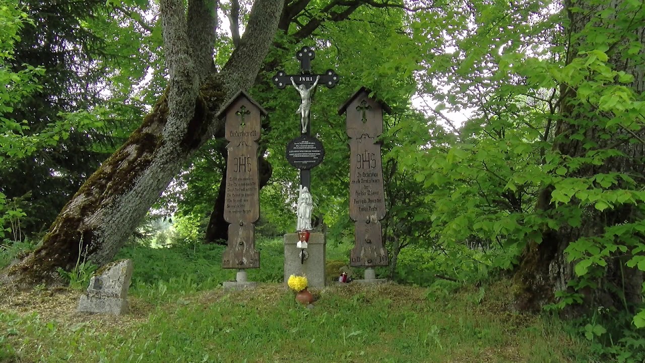 Sumava - Spaziergang durch Bayern und Böhmen