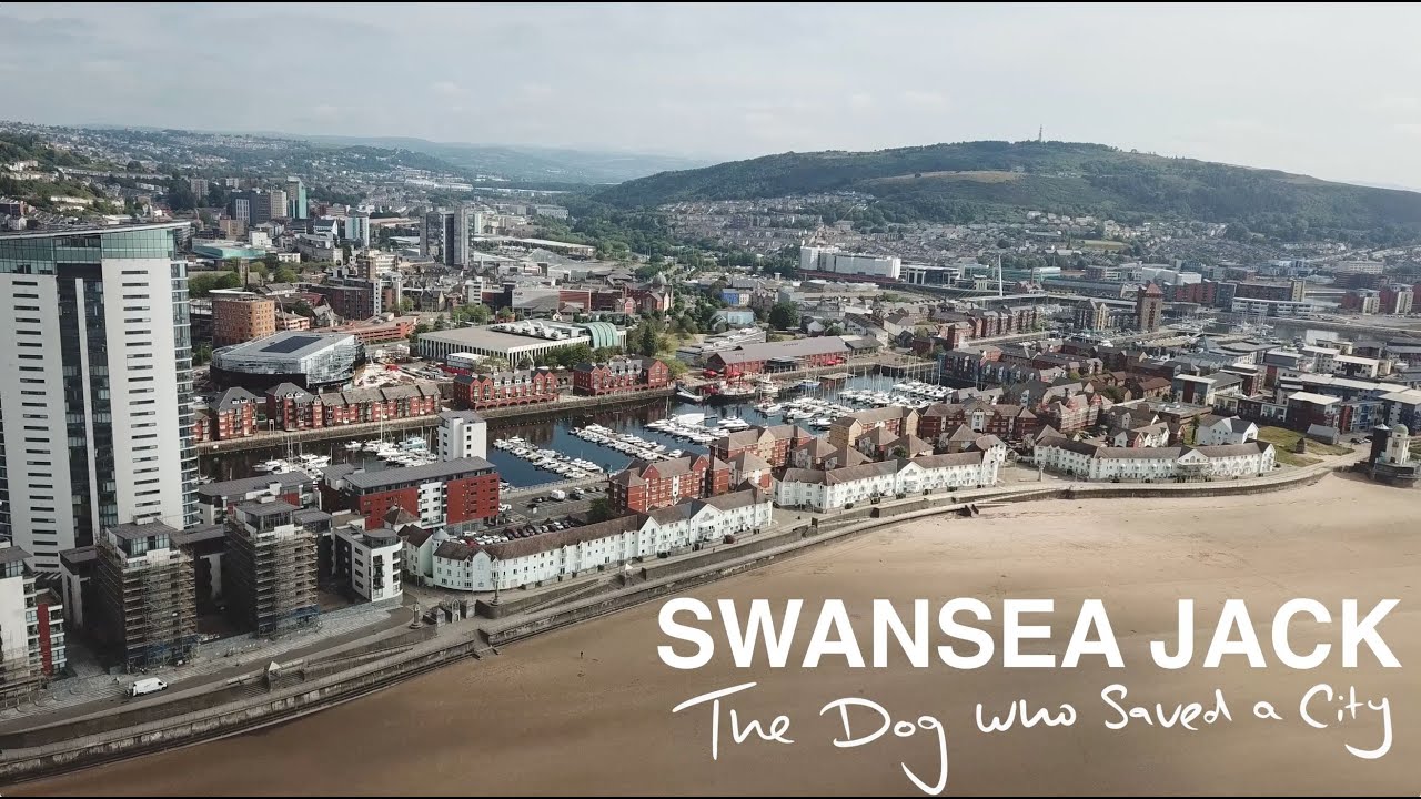 Swansea Jack: The Dog who Saved A City