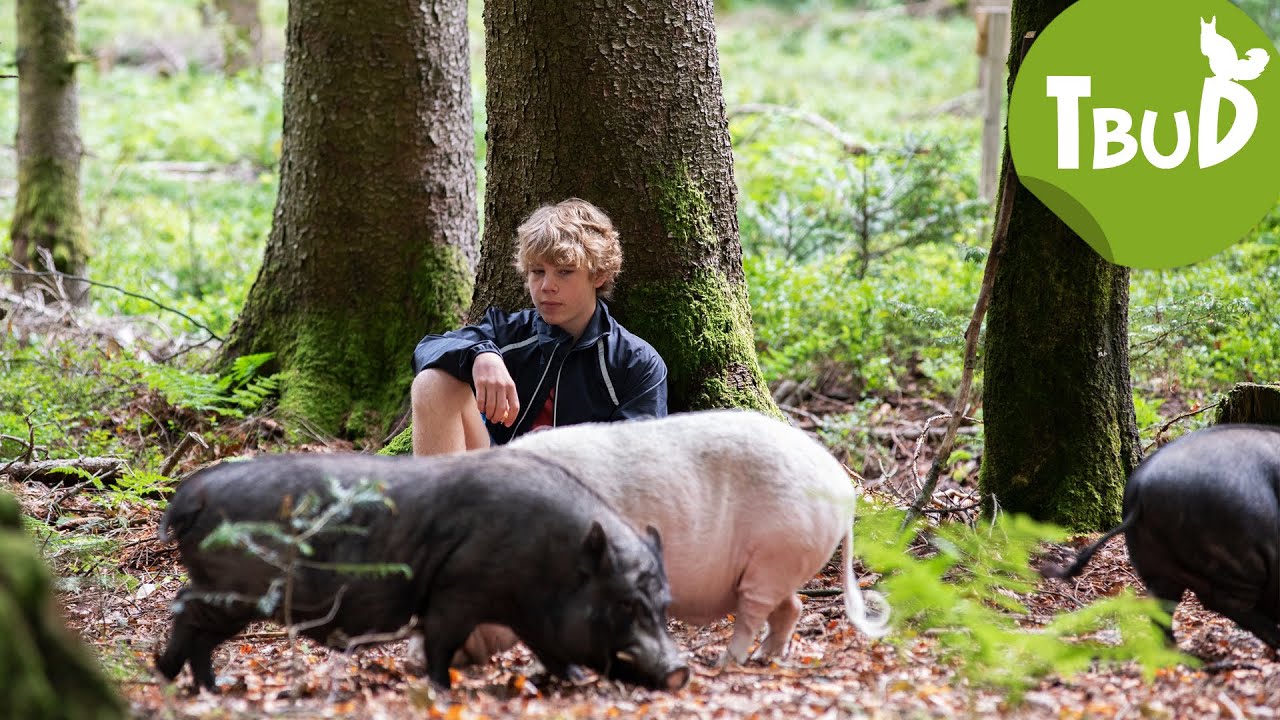 So eine Schweinerei! (Folge 102) | Tiere bis unters Dach
