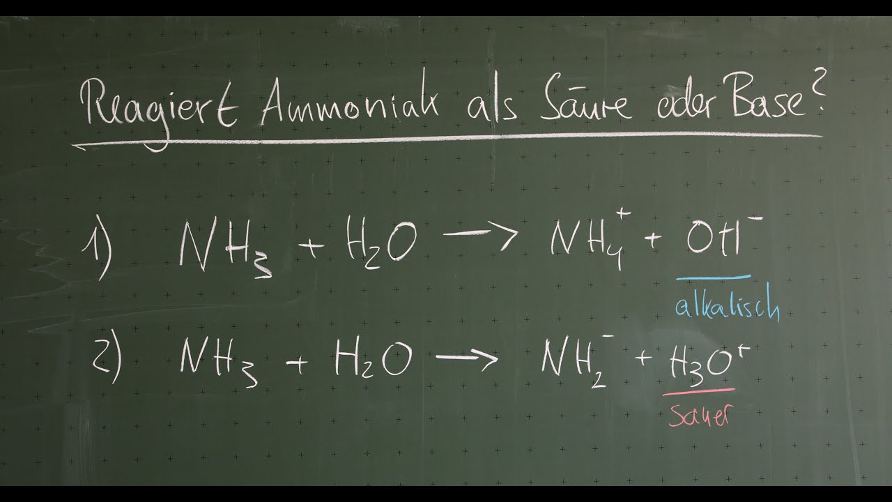 Br&ouml;nstedt S&auml;uren & Basen: reagiert Ammoniak mit Wasser alkalisch oder sauer? Ampholyte