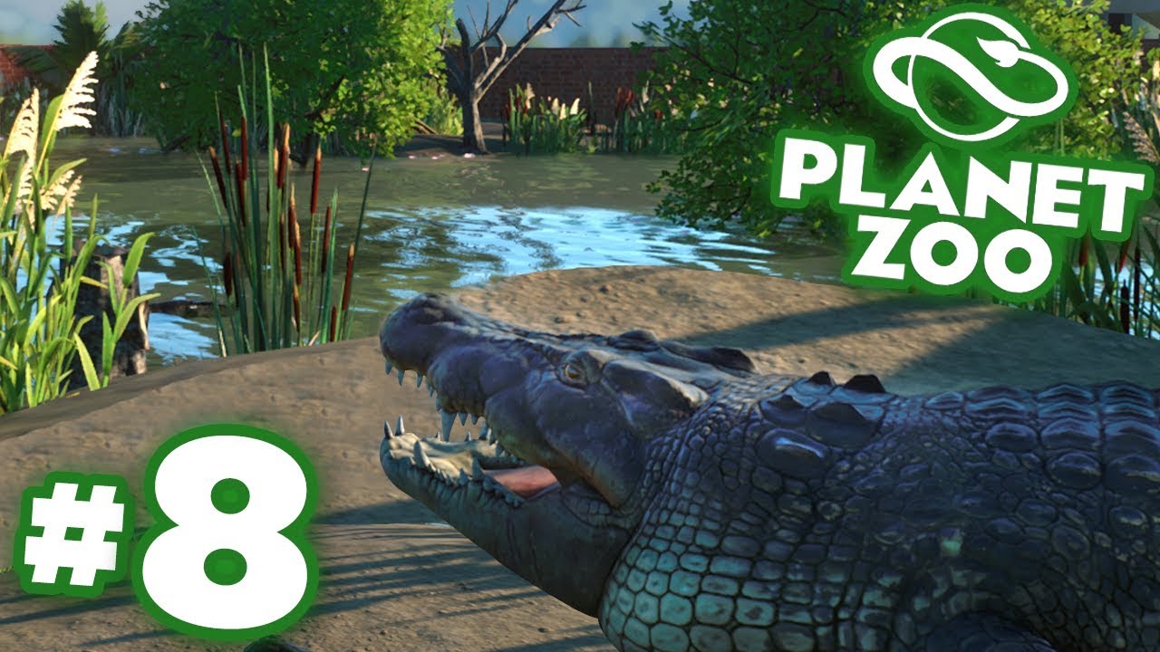 Baby Crocodiles And The Croc Paradise Complete!!! - Planet Zoo | Ep8 HD