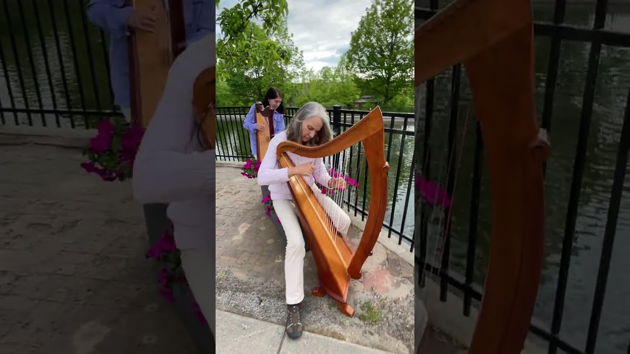 In Memory of Faye, the mother swan of Manlius, NY: Swan LK 243 played at the Manlius Swan Pond