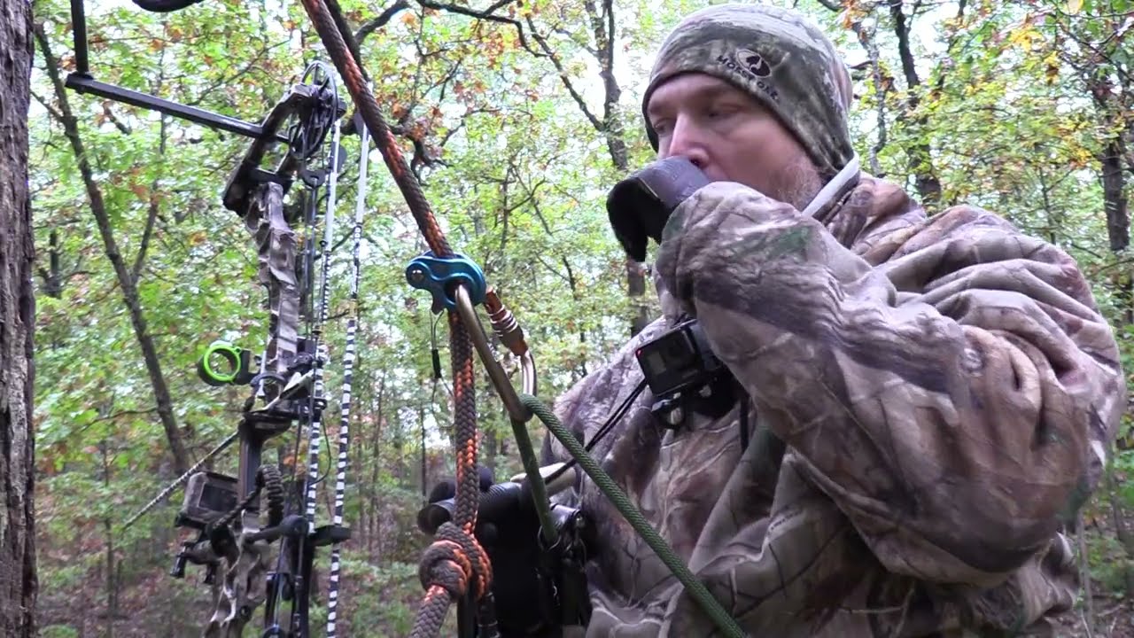 Охота с луком из седла на государственных землях штата Миссури.