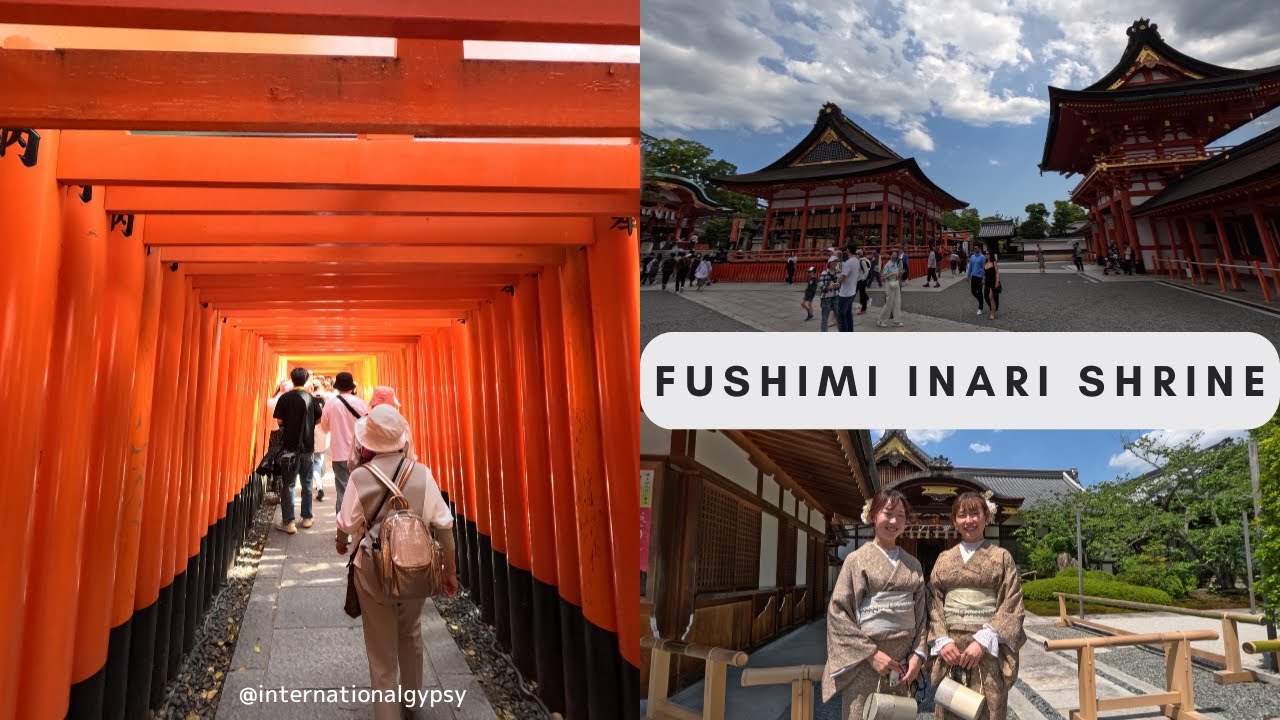 Fushimi inari shrine kyoto || Indian in japan