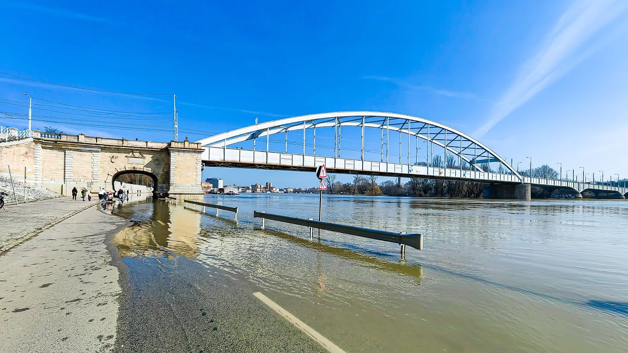 Az áradó Tisza Szegednél - 2023.03.04.