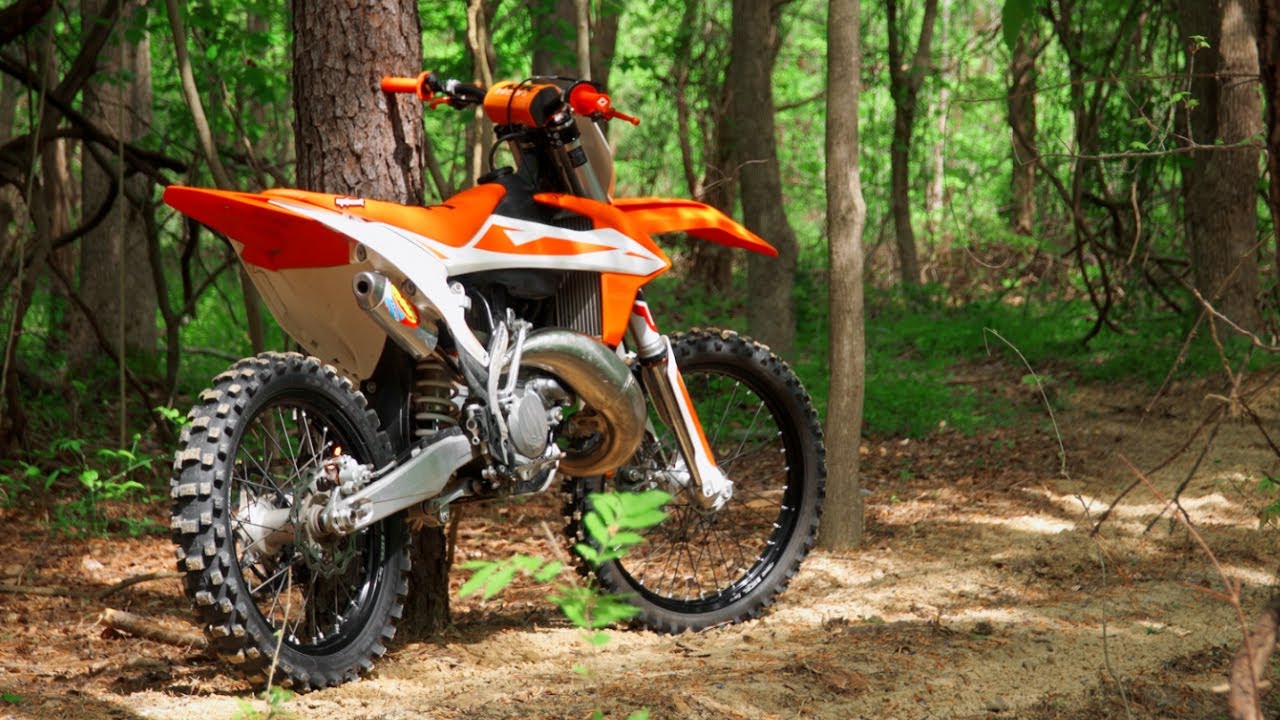 2 stroke echo in the woods