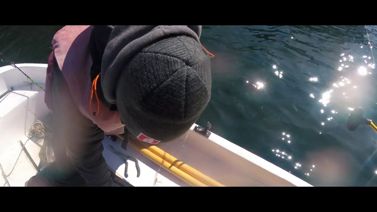 РИБОЛОВ на скумрия и треска в НОРВЕГИЯ! / Mackerel fishing in Norway!