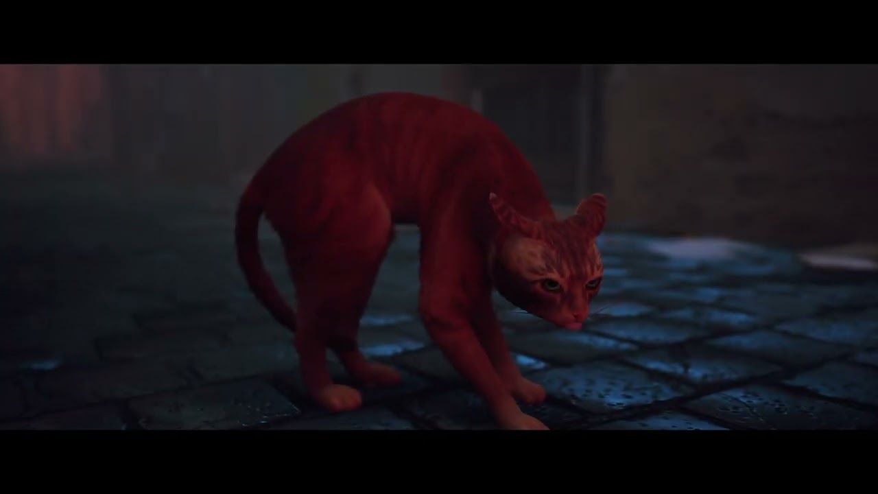 Playing Stray (part 1)