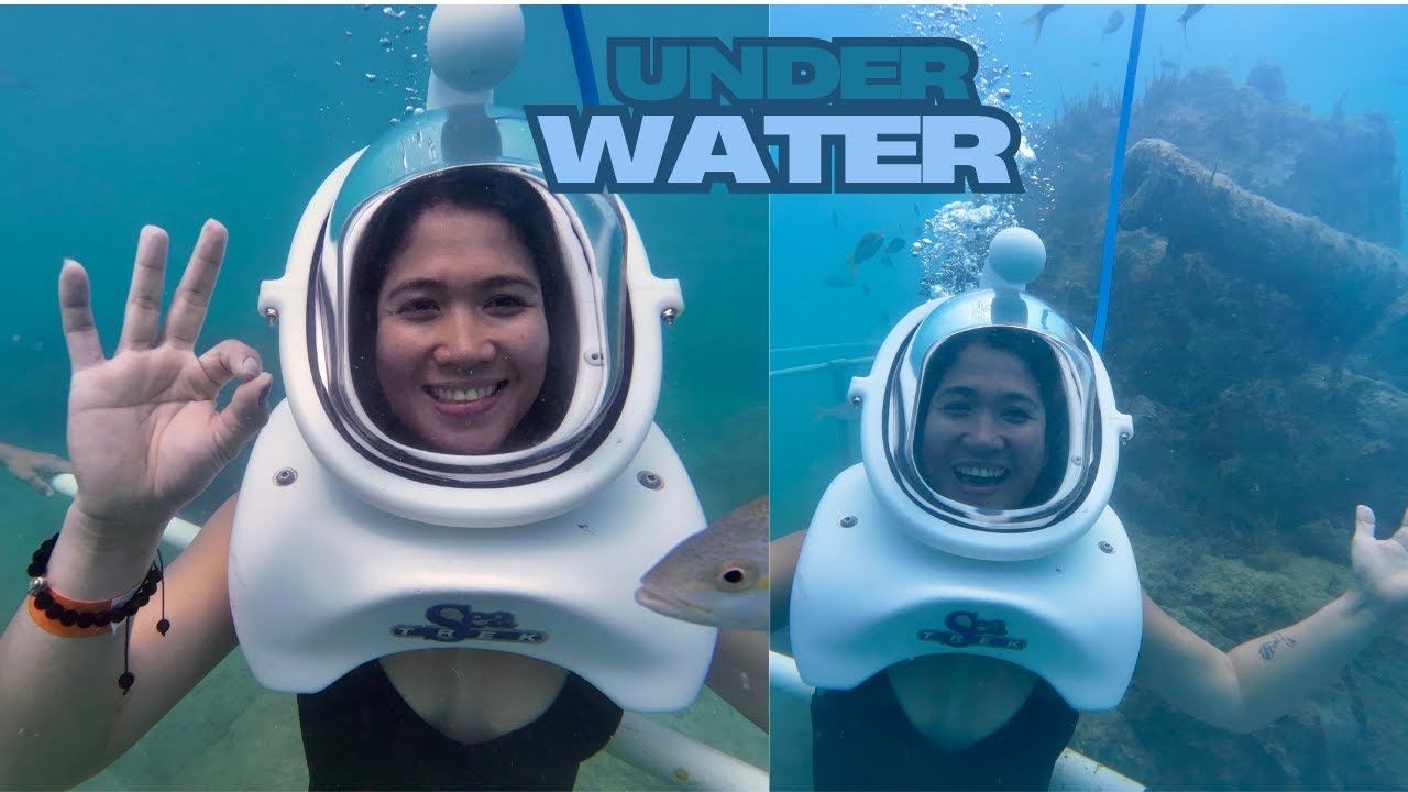 DIVE SEA TREK | ST MAARTEN
