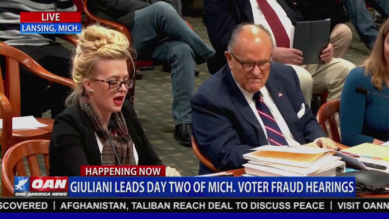 Michigan voter fraud witness: I don&rsquo;t know why anyone would write an affidavit just to write one