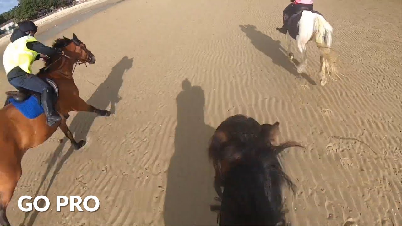 my FIRST time riding on the beach!🌊 | GOPRO | equinemollie