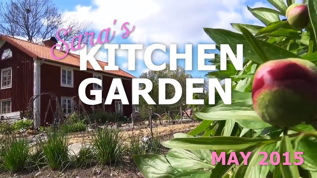 My Kitchen Garden in May 2015